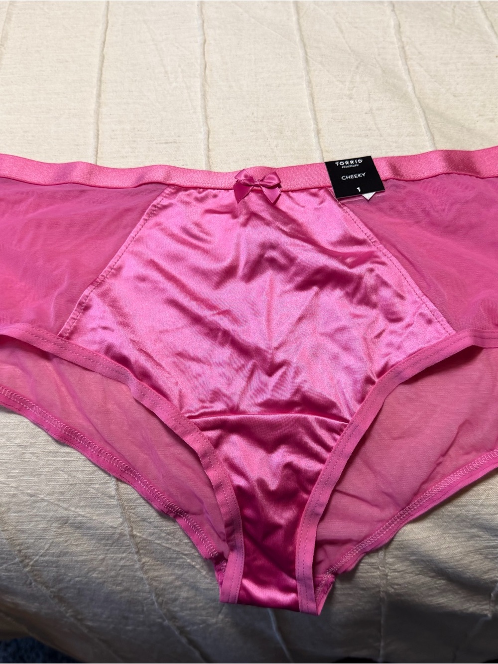 torrid Pink Satin & Sheer Mesh High-Cut Brief